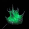 Voryte