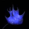 Voryte
