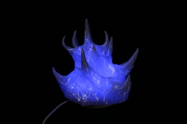 Voryte